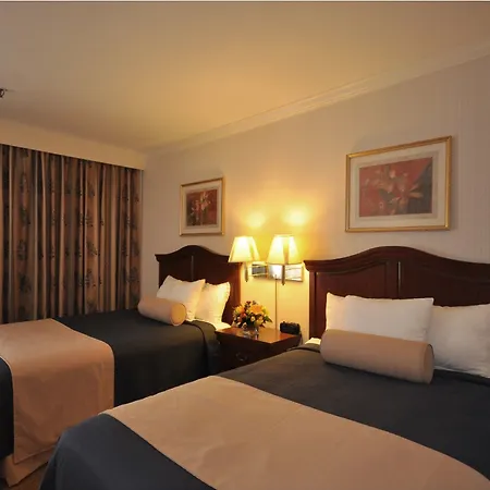 Best Western At O'Hare-3